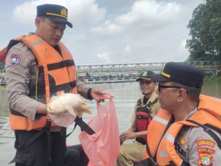 Kapolres Metro Tangerang Kota Turun Langsung Pantau Sungai Cisadane Pascapencemaran