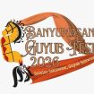 Guyub Festival Banyumasan Hadirkan Seni Tradisional, Dialog Aspirasi, dan Bazar UMKM di Lapangan Banteng