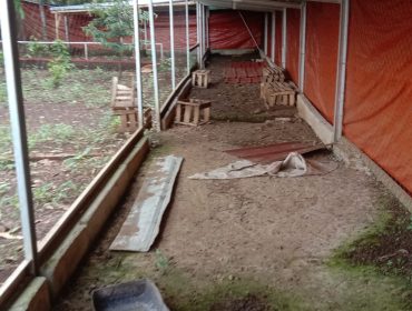 Kondisi kandang BUMDes Desa Kampung Baru, Kecamatan Petir, Kabupaten Serang, terlihat kosong dan tidak terawat saat didatangi awak media. Tidak tampak aktivitas peternakan bebek di lokasi yang disebut sebagai bagian dari program penyertaan modal BUMDes.