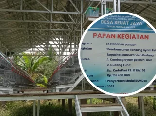 Kandang ayam petelur milik BUMDes Desa Seuat Jaya masih kosong meski anggaran ratusan juta rupiah telah digelontorkan