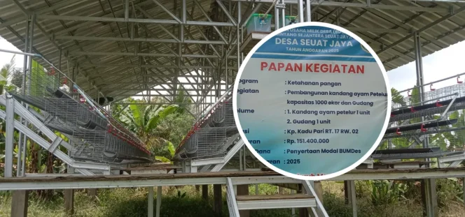 
 Kandang ayam petelur milik BUMDes Desa Seuat Jaya masih kosong meski anggaran ratusan juta rupiah telah digelontorkan