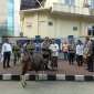 Kapolresta Tangerang Kombes Pol. Andi Muhammad Indra Waspada Amirullah bersama jajaran TNI, tokoh agama, tokoh masyarakat, dan warga usai kegiatan penyaluran hewan kurban Iduladha di lingkungan Polresta Tangerang. Sebanyak 24 ekor sapi dan 39 ekor kambing disalurkan kepada masyarakat yang membutuhkan. Foto Istimewa: Gmanews.id/Aris_Red.