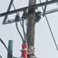 Terlihat dalam gambar : Ujung Kabel Terminating SKTM 20 KV tidak di tutup atau di berikan pengaman