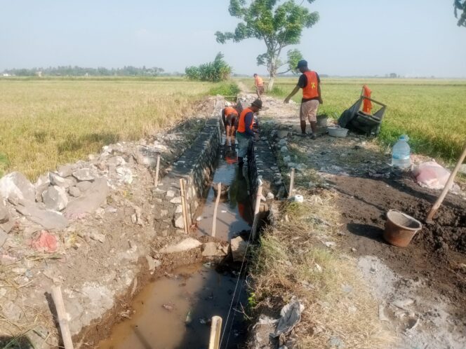 
 Lokasi pekerjaan Program P3TGAI (P3A Mitra Cai Asem) Desa Tanjung Anom, Kec Mauk, Kamis 16-07-2026