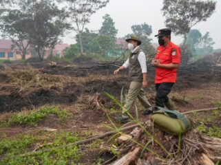 Menteri Kehutanan Raja Antoni meninjau langsung penanganan karhutla di Desa Kuala Dua, Kabupaten Kubu Raya, Kalimantan Barat, Kamis (3/9/2026).